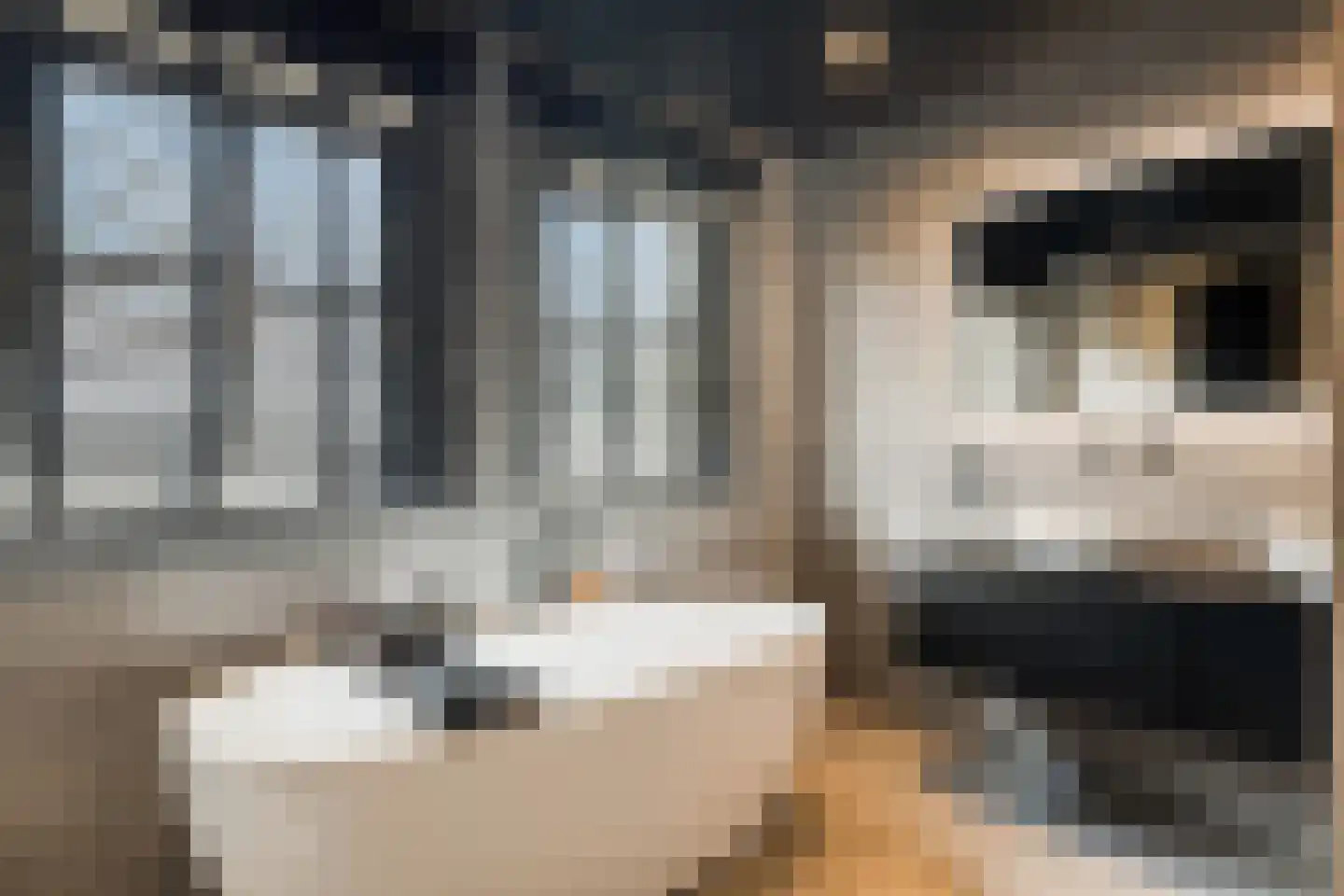 Leerlooierij 9 Steenbergen thumbnail 36