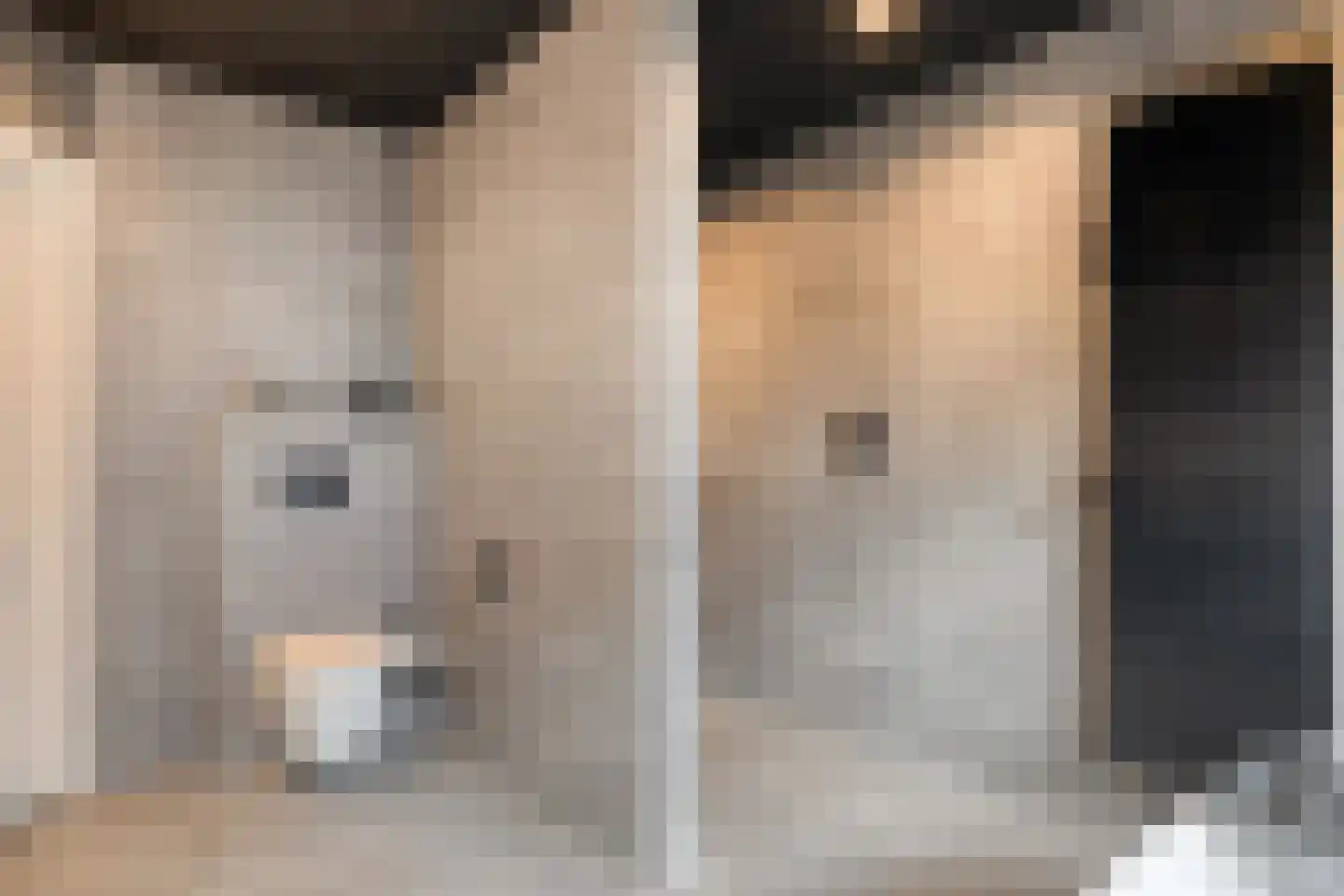 Leerlooierij 9 Steenbergen thumbnail 38