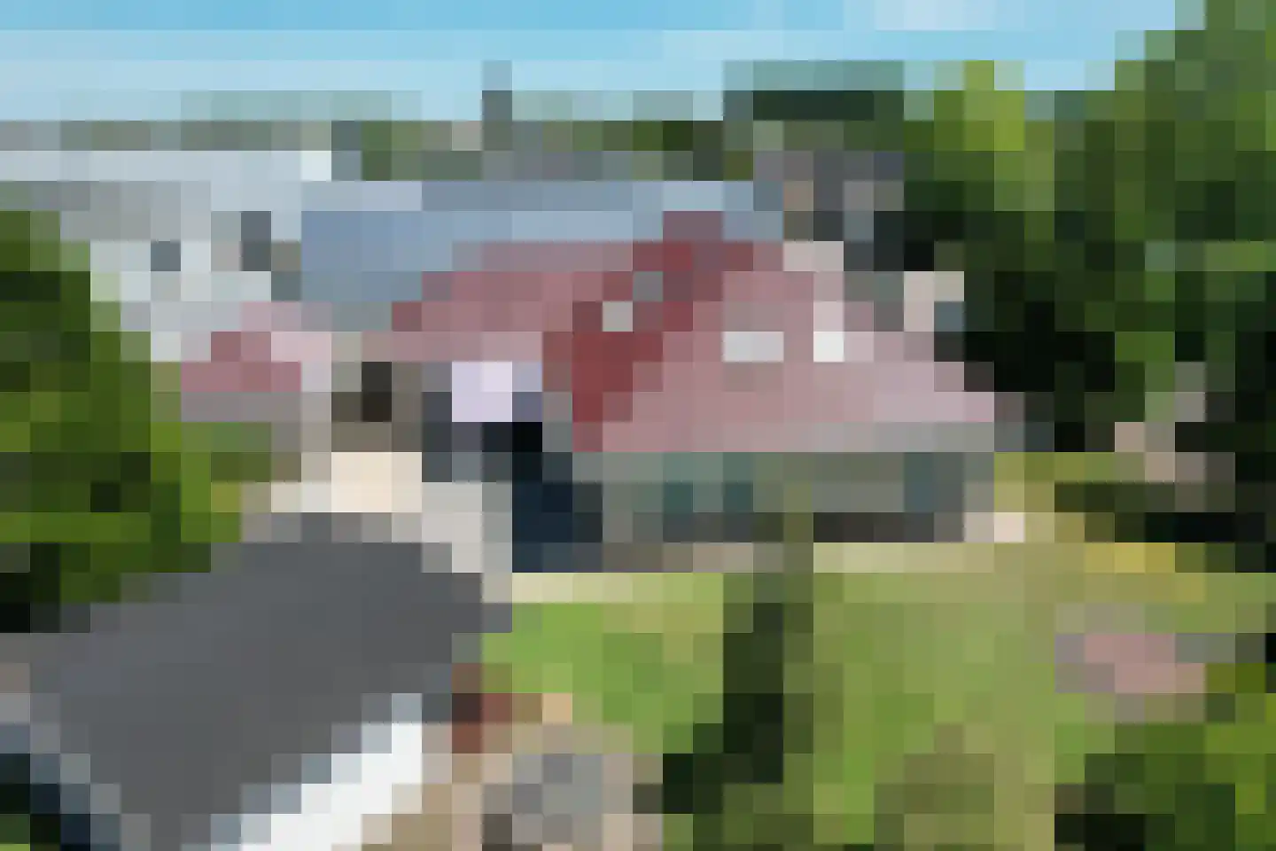 Leerlooierij 9 Steenbergen thumbnail 4