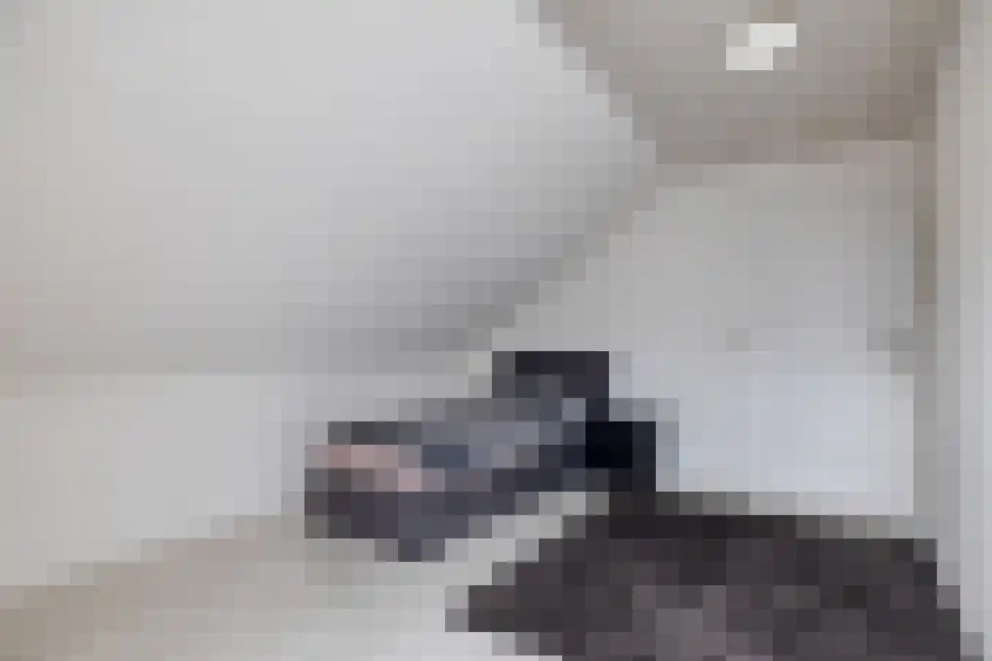 Leerlooierij 9 Steenbergen thumbnail 49