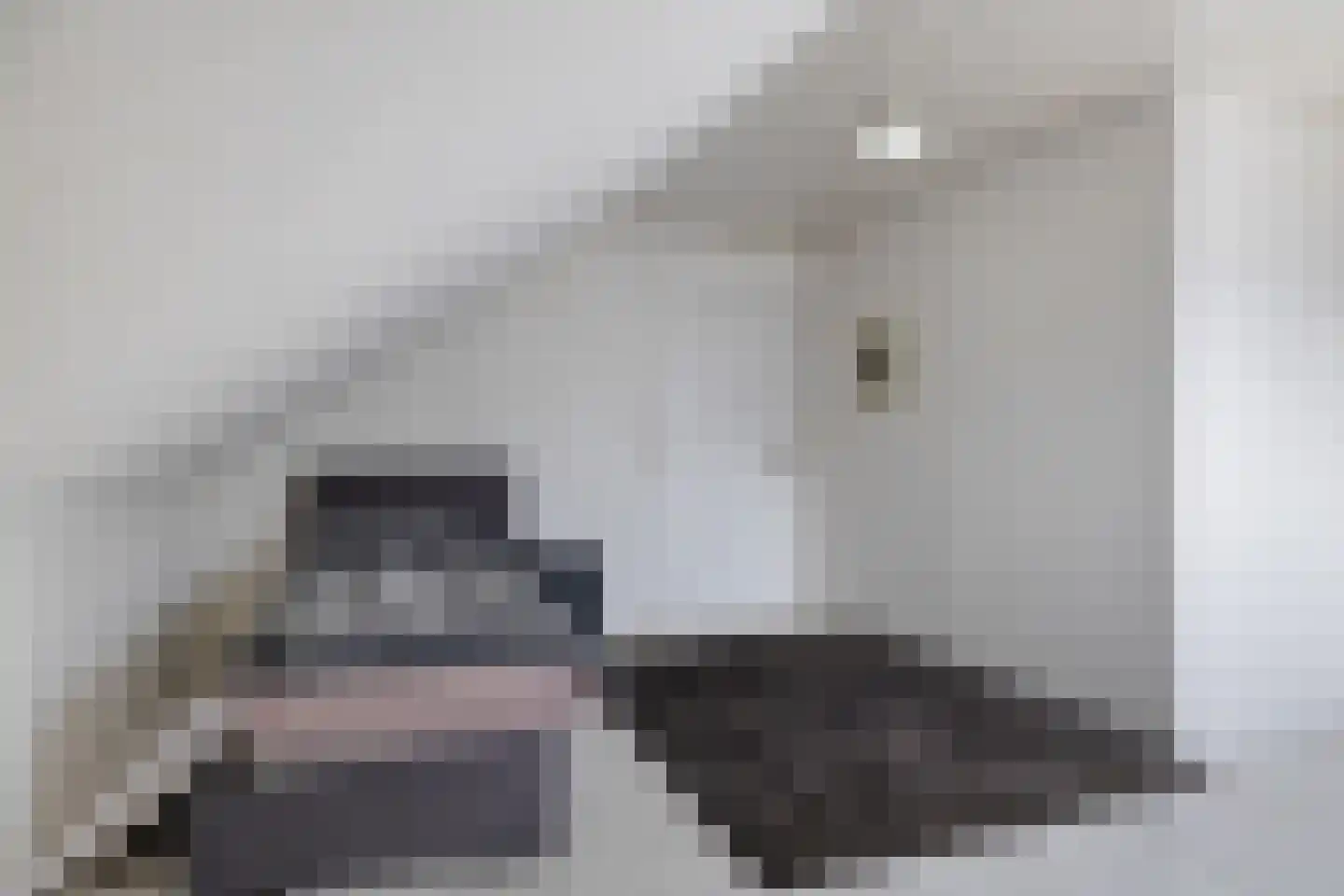 Leerlooierij 9 Steenbergen thumbnail 50
