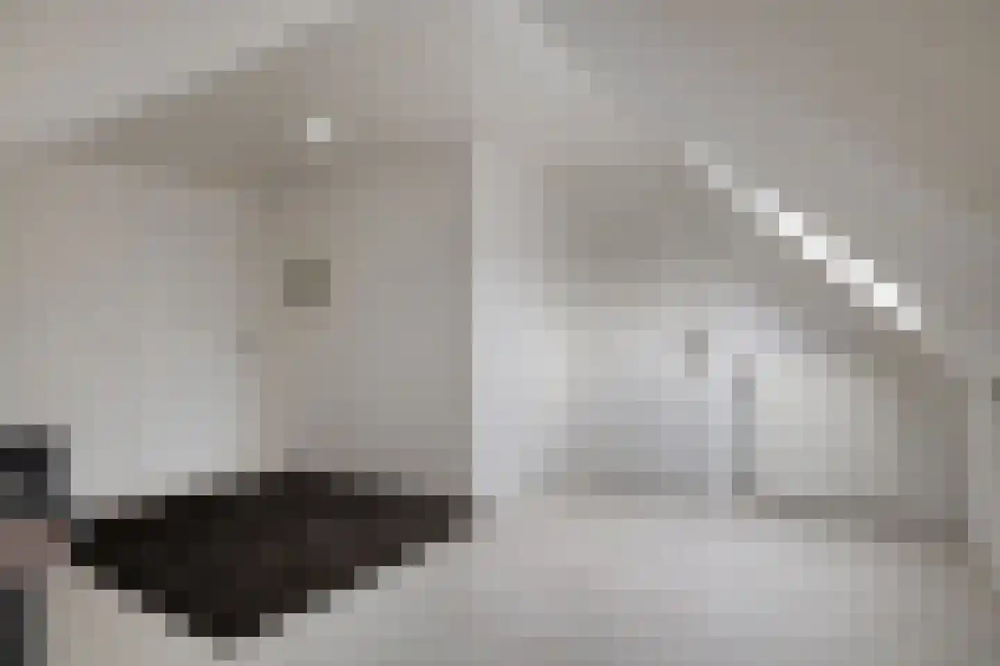 Leerlooierij 9 Steenbergen thumbnail 52