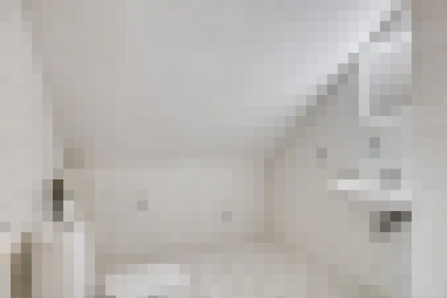 Leerlooierij 9 Steenbergen thumbnail 53