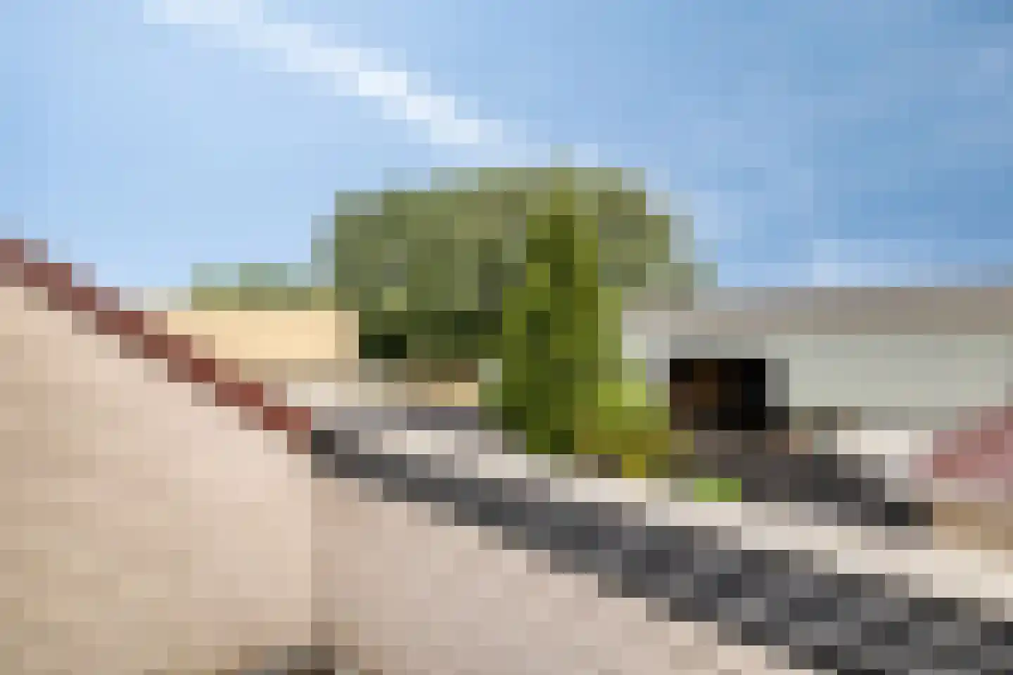 Leerlooierij 9 Steenbergen thumbnail 59