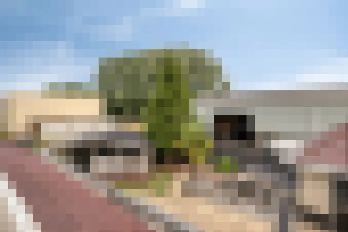 Leerlooierij 9 Steenbergen thumbnail 61