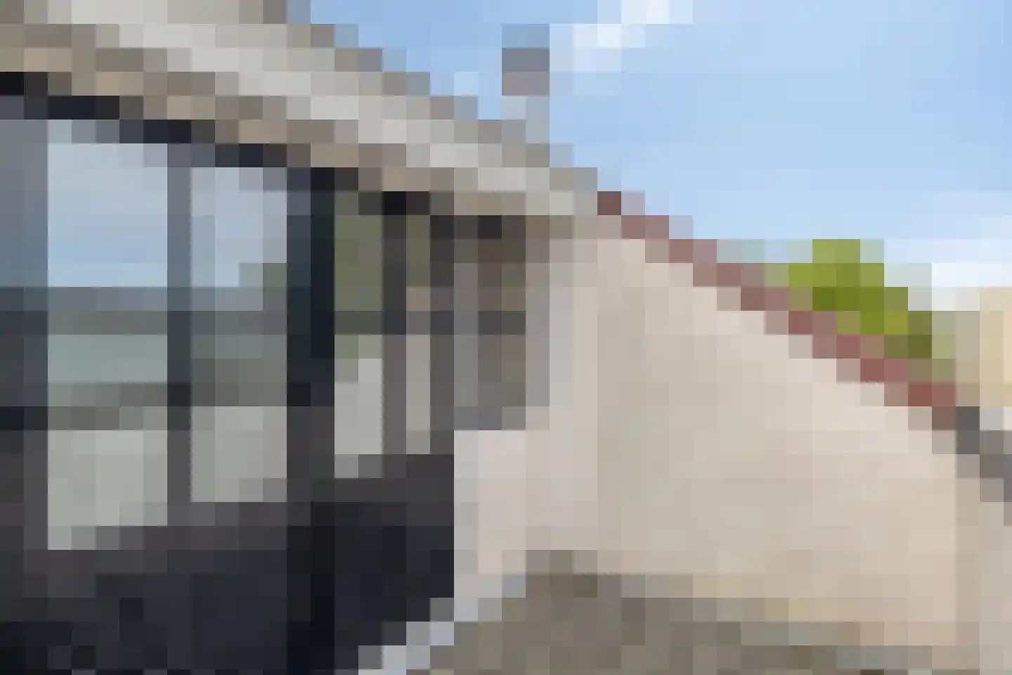 Leerlooierij 9 Steenbergen thumbnail 62