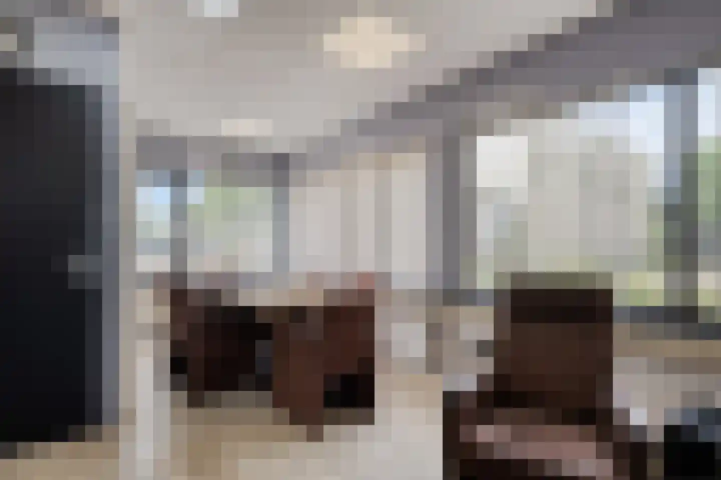 Leerlooierij 9 Steenbergen thumbnail 76