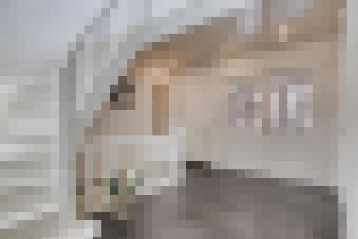 Leerlooierij 9 Steenbergen thumbnail 8