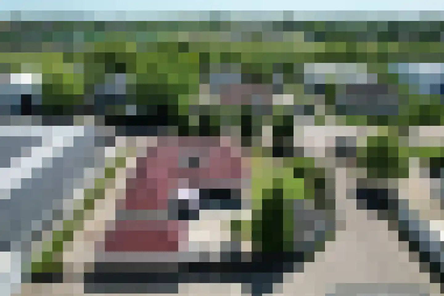 Leerlooierij 9 Steenbergen thumbnail 82