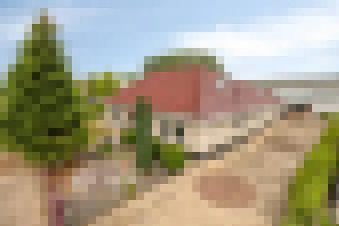 Leerlooierij 9 Steenbergen thumbnail 83