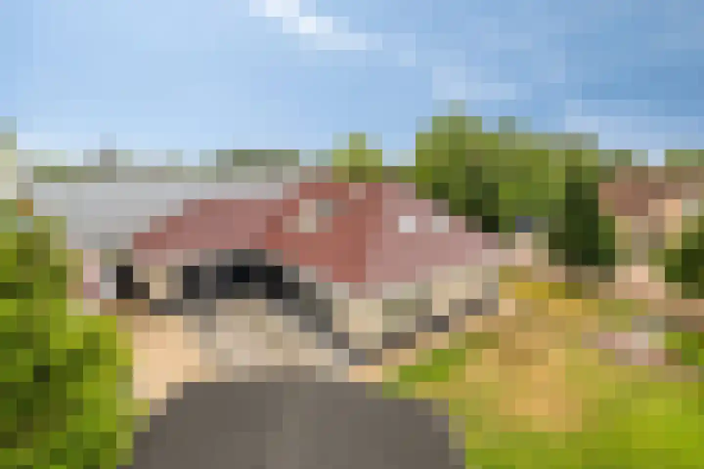 Leerlooierij 9 Steenbergen thumbnail 84