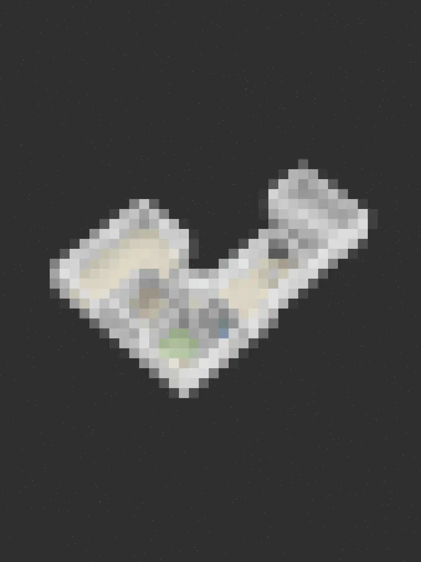Leerlooierij 9 Steenbergen thumbnail 86