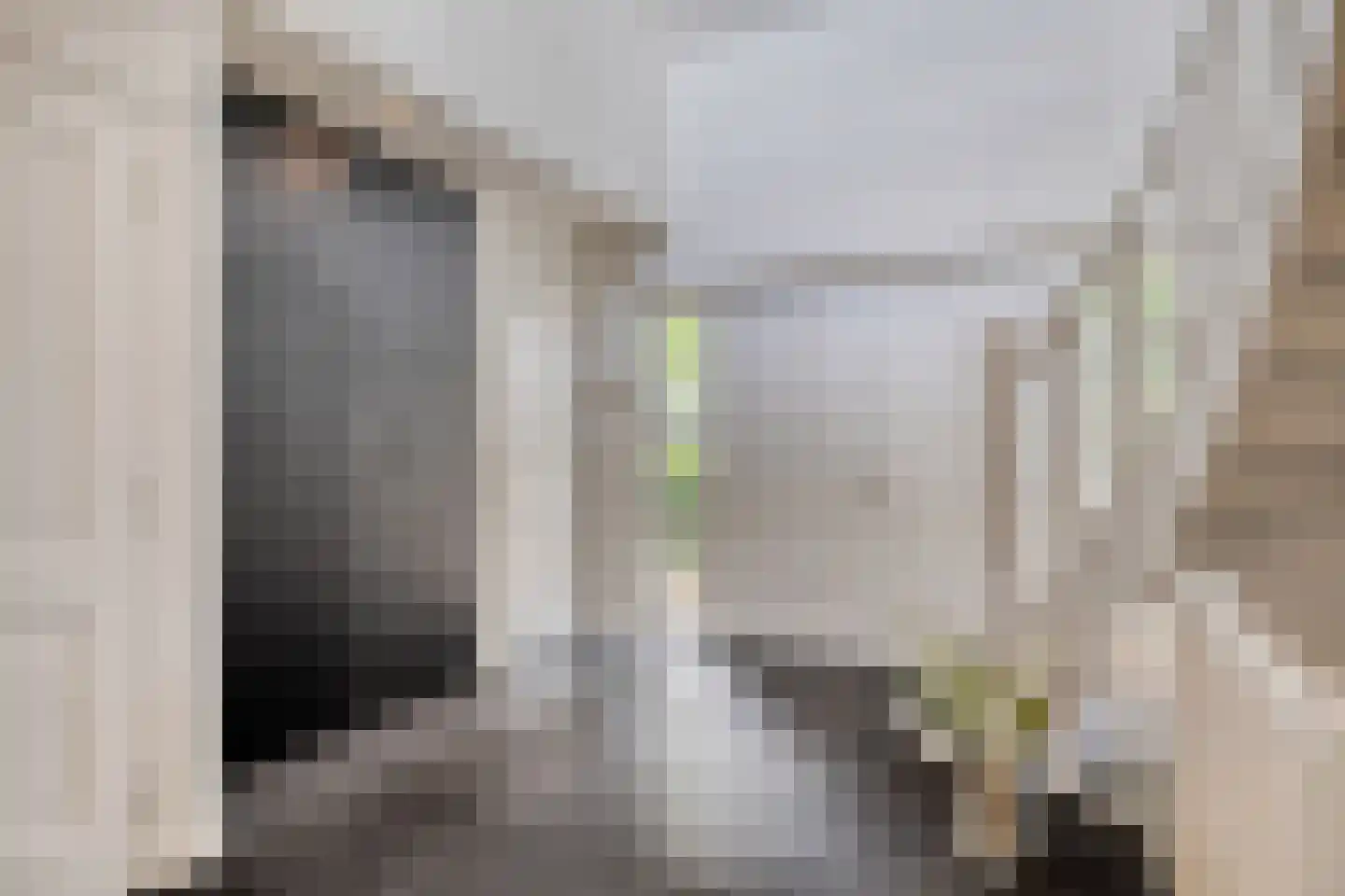 Leerlooierij 9 Steenbergen thumbnail 9