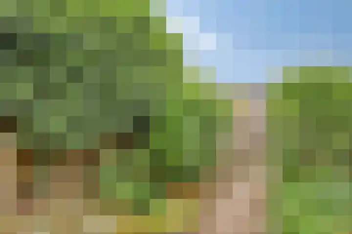 Leerlooiersgroes 3 Gennep thumbnail 22