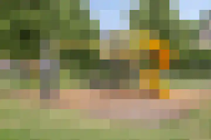 Leerlooiersgroes 3 Gennep thumbnail 27
