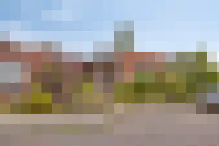 Leerlooiersgroes 3 Gennep thumbnail 30