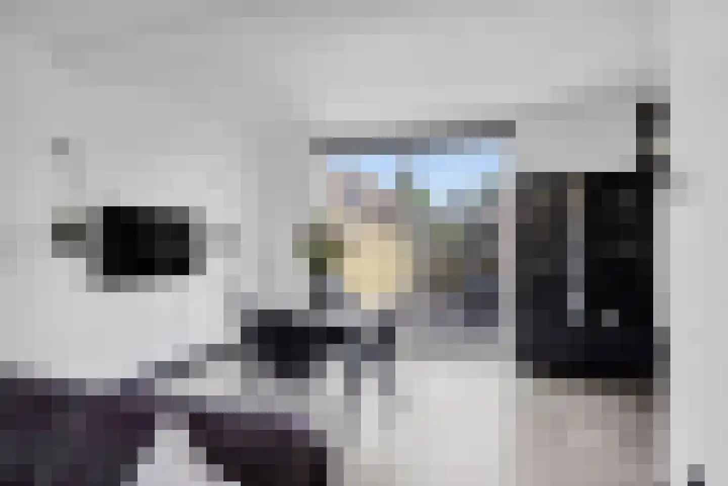 Leerlooiersstraat 16 Makkum thumbnail 12