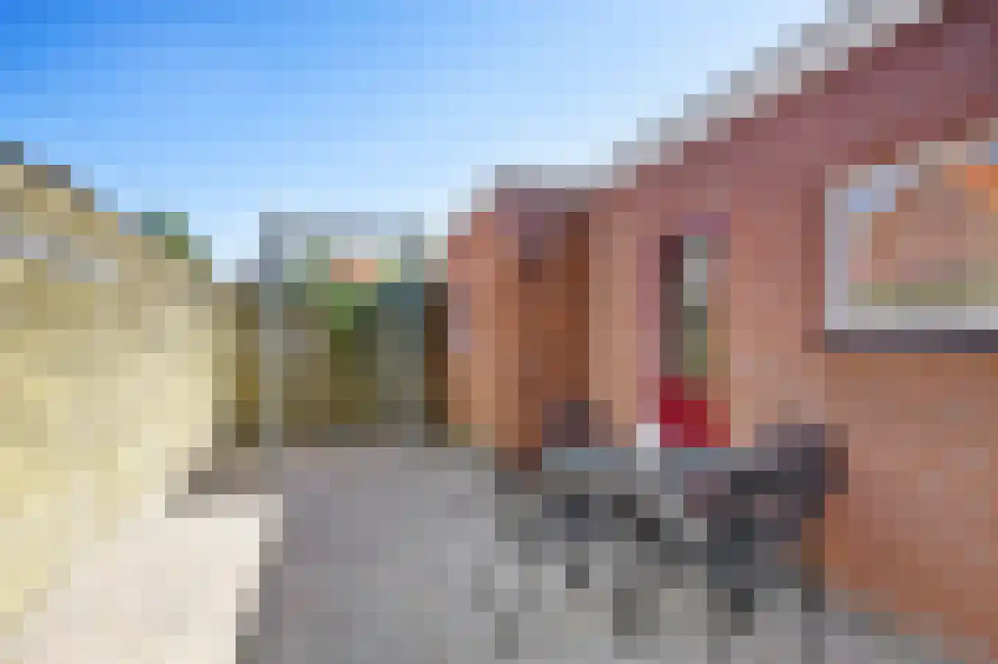 Leerlooiersstraat 16 Makkum thumbnail 34