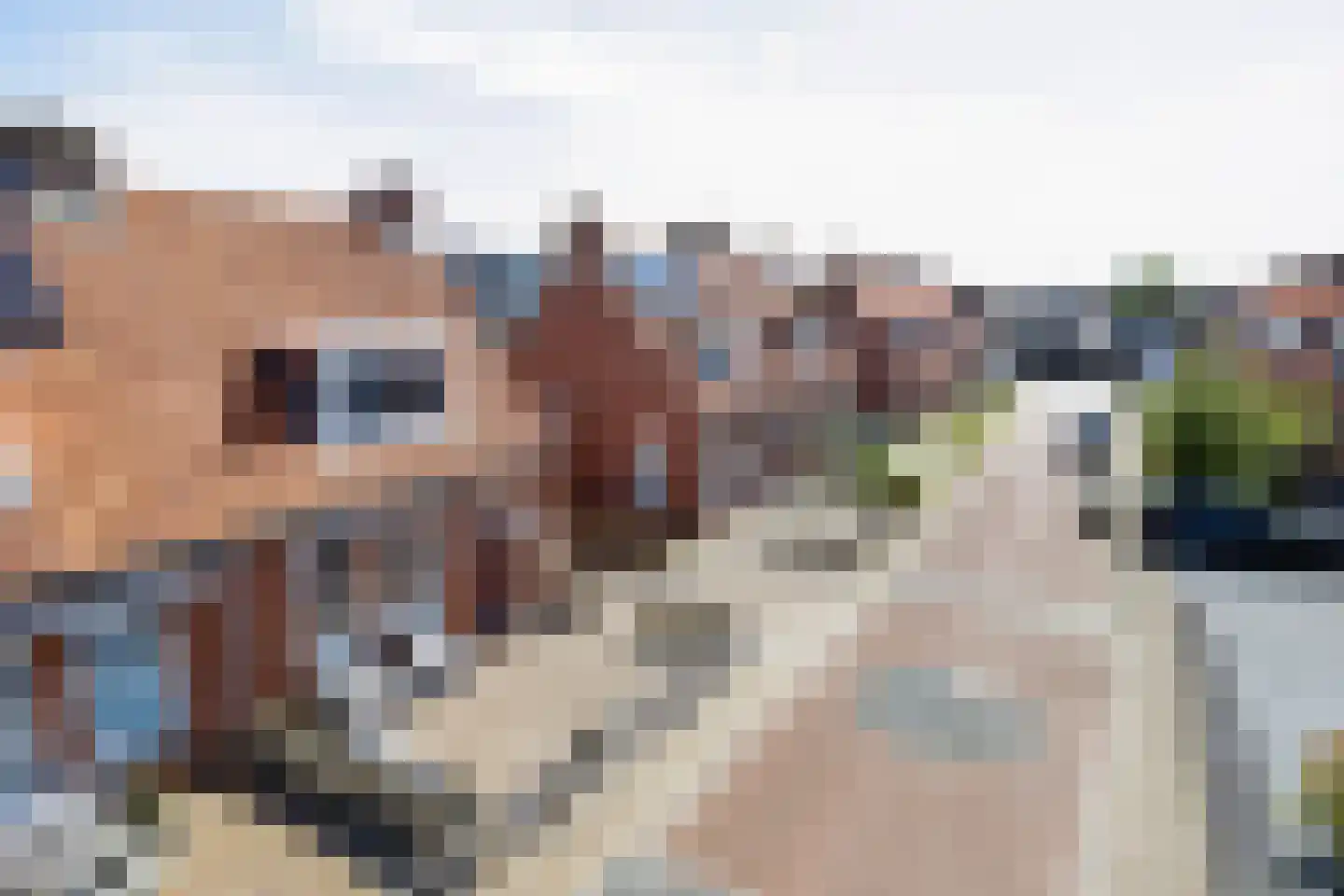 Leerlooiersstraat 16 Makkum thumbnail 37