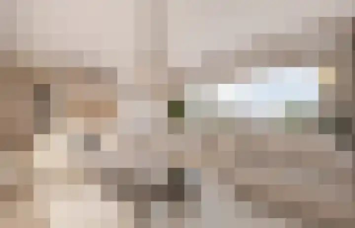 Leerlooiersstraat 7 Drachten thumbnail 8