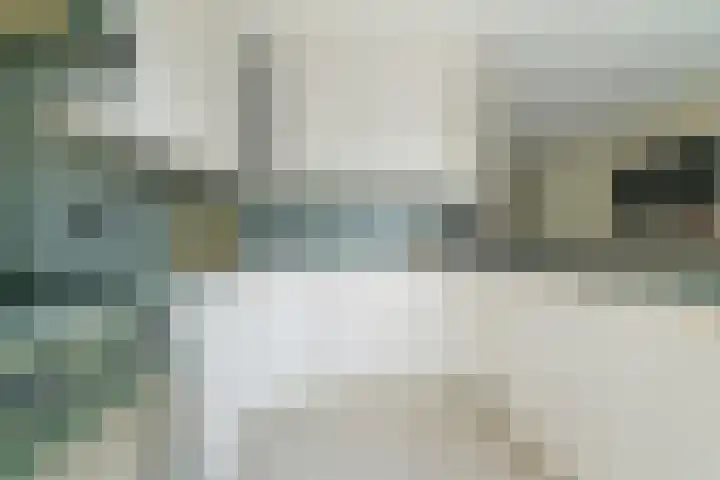 Leerlooierstraat 29 Breda thumbnail 20