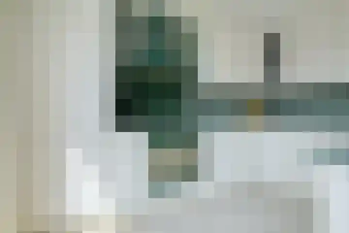 Leerlooierstraat 29 Breda thumbnail 21