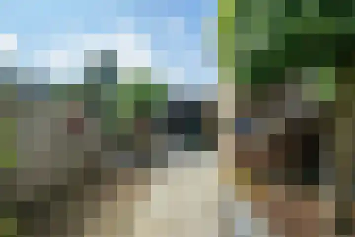 Leerlooierstraat 29 Breda thumbnail 25