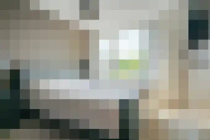 Leerlooierstraat 29 Breda thumbnail 36
