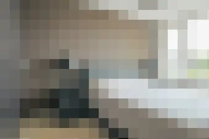 Leerlooierstraat 29 Breda thumbnail 37