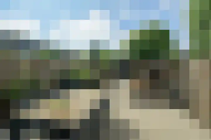 Leerlooierstraat 29 Breda thumbnail 5