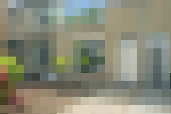 Leerlooierstraat 29 Breda thumbnail 8