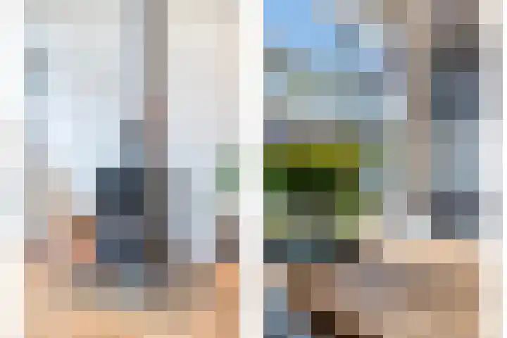 Leerlooierstraat 4 Breda thumbnail 16