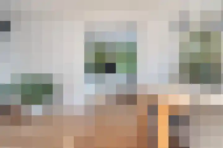Leerlooierstraat 4 Breda thumbnail 20