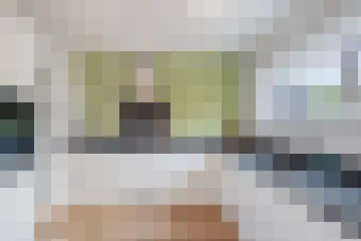 Leerlooierstraat 4 Breda thumbnail 22