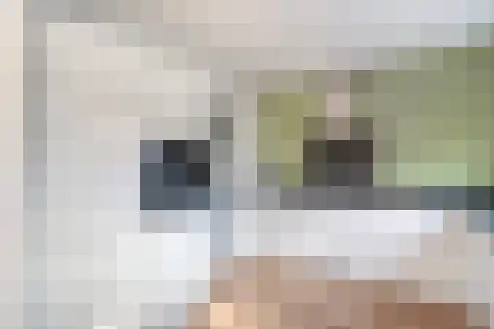 Leerlooierstraat 4 Breda thumbnail 23