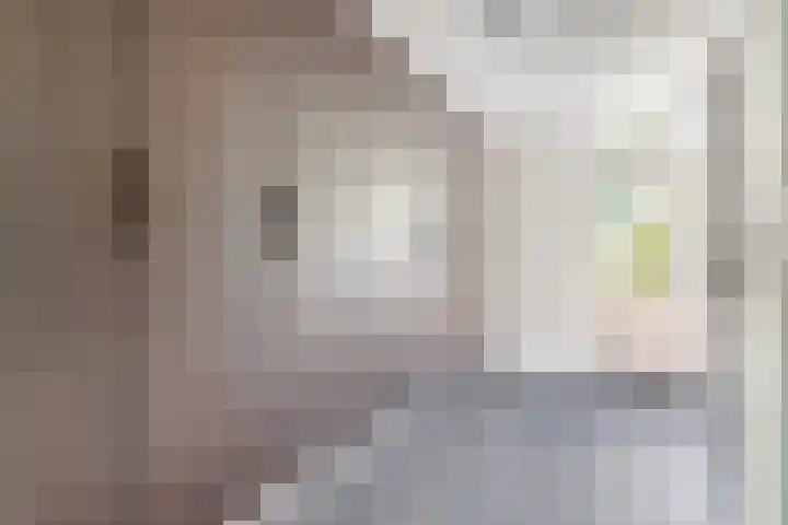 Leerlooierstraat 4 Breda thumbnail 27