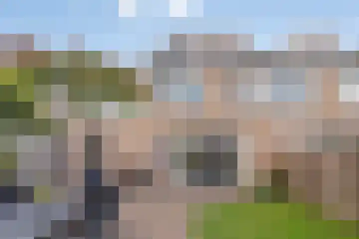 Leerlooierstraat 4 Breda thumbnail 39