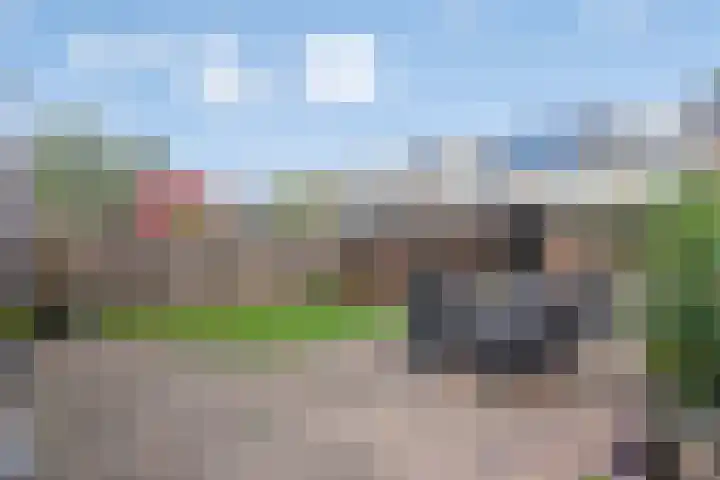 Leerlooierstraat 4 Breda thumbnail 4