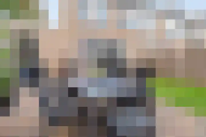 Leerlooierstraat 4 Breda thumbnail 42