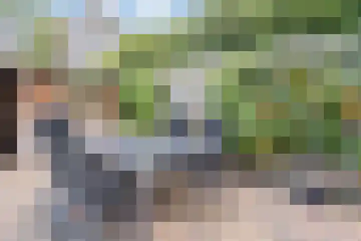 Leerlooierstraat 4 Breda thumbnail 44