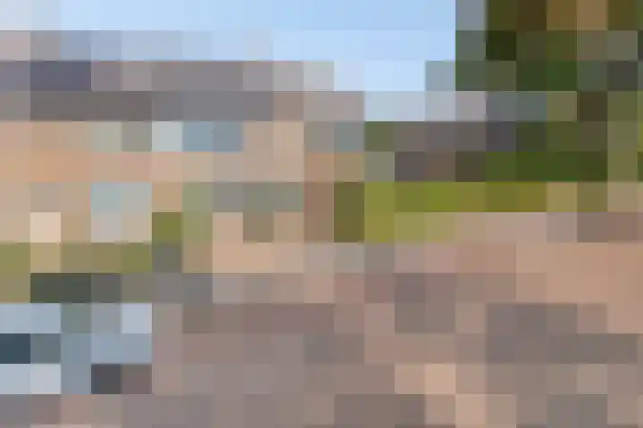 Leerlooierstraat 4 Breda thumbnail 47
