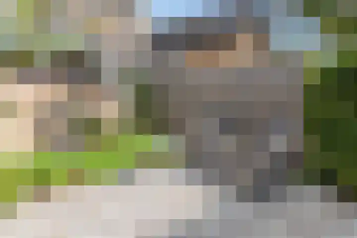 Leerlooierstraat 4 Breda thumbnail 8