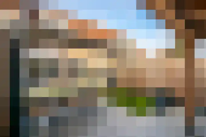 Leerlooierstraat 45 Oss thumbnail 20