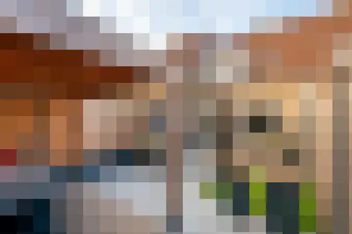 Leerlooierstraat 45 Oss thumbnail 21
