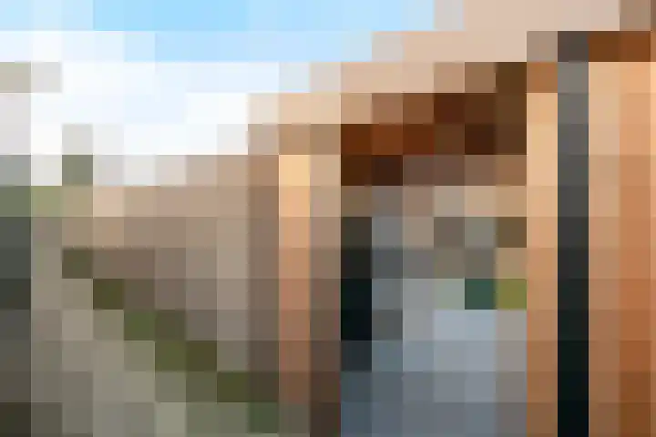 Leerlooierstraat 45 Oss thumbnail 24