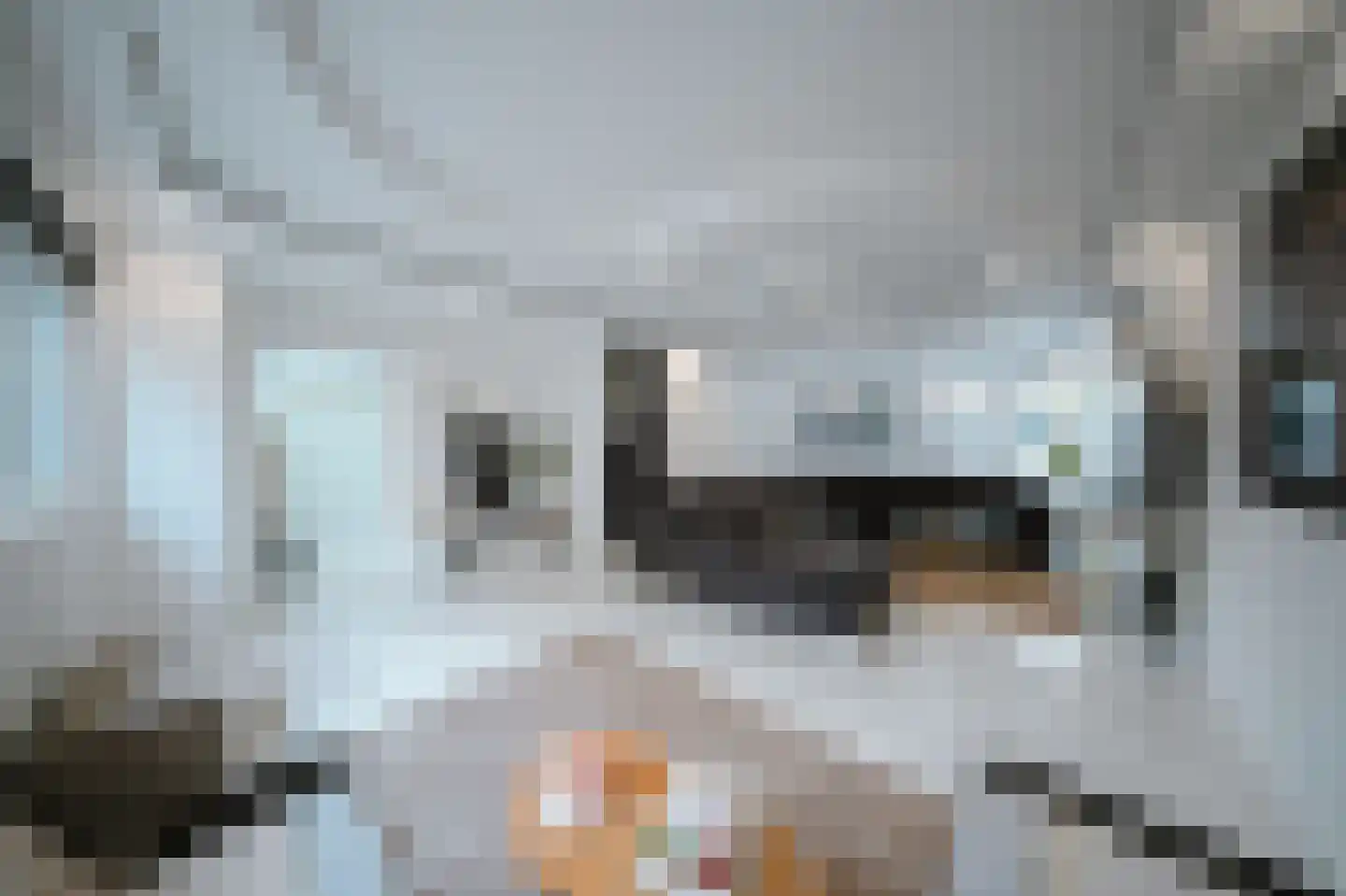 Leerlooierstraat 49 Oss thumbnail 10