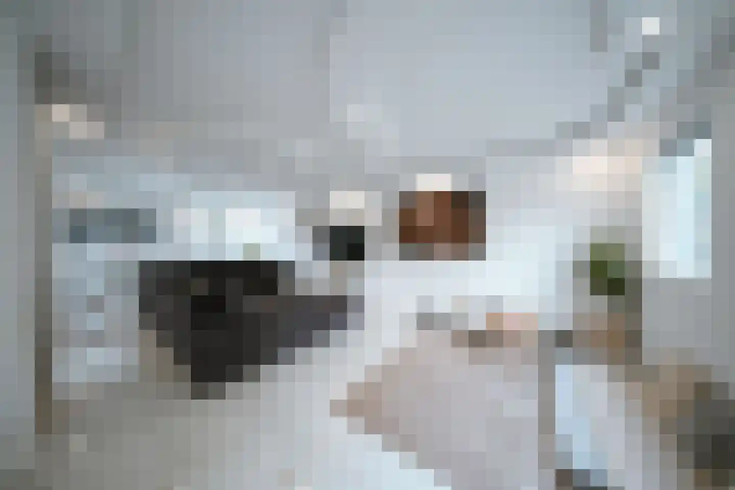 Leerlooierstraat 49 Oss thumbnail 11