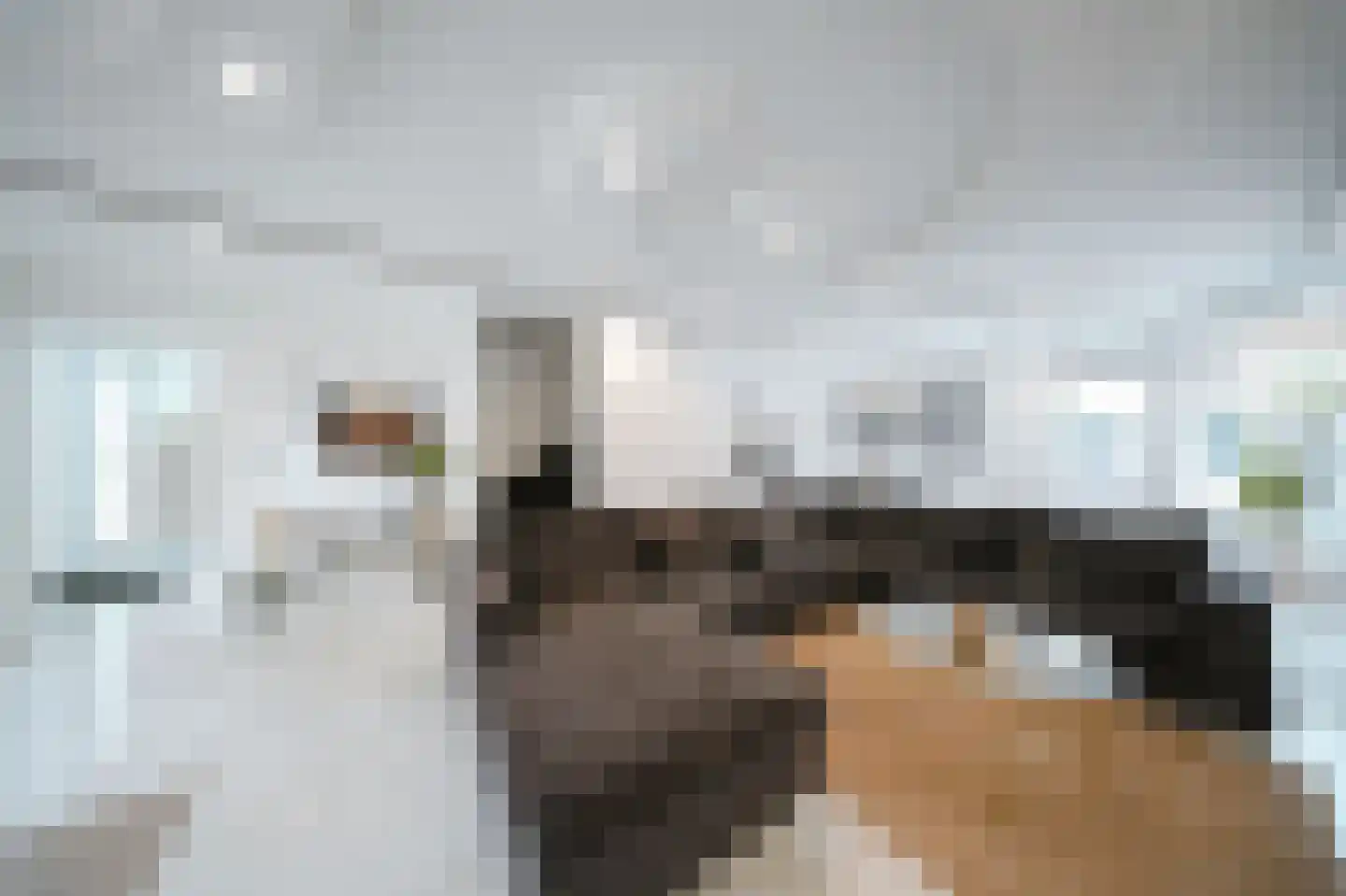 Leerlooierstraat 49 Oss thumbnail 12