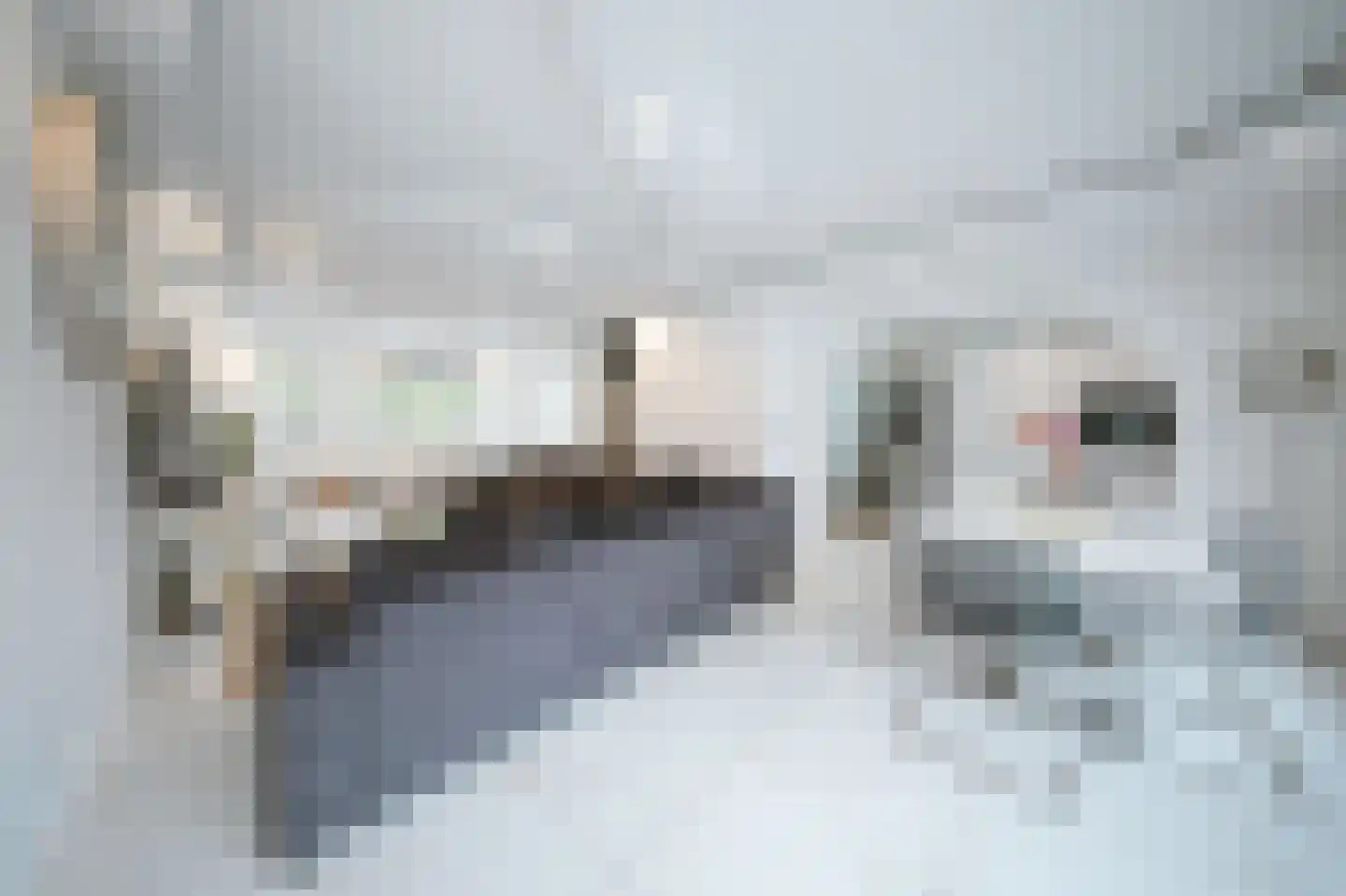 Leerlooierstraat 49 Oss thumbnail 13