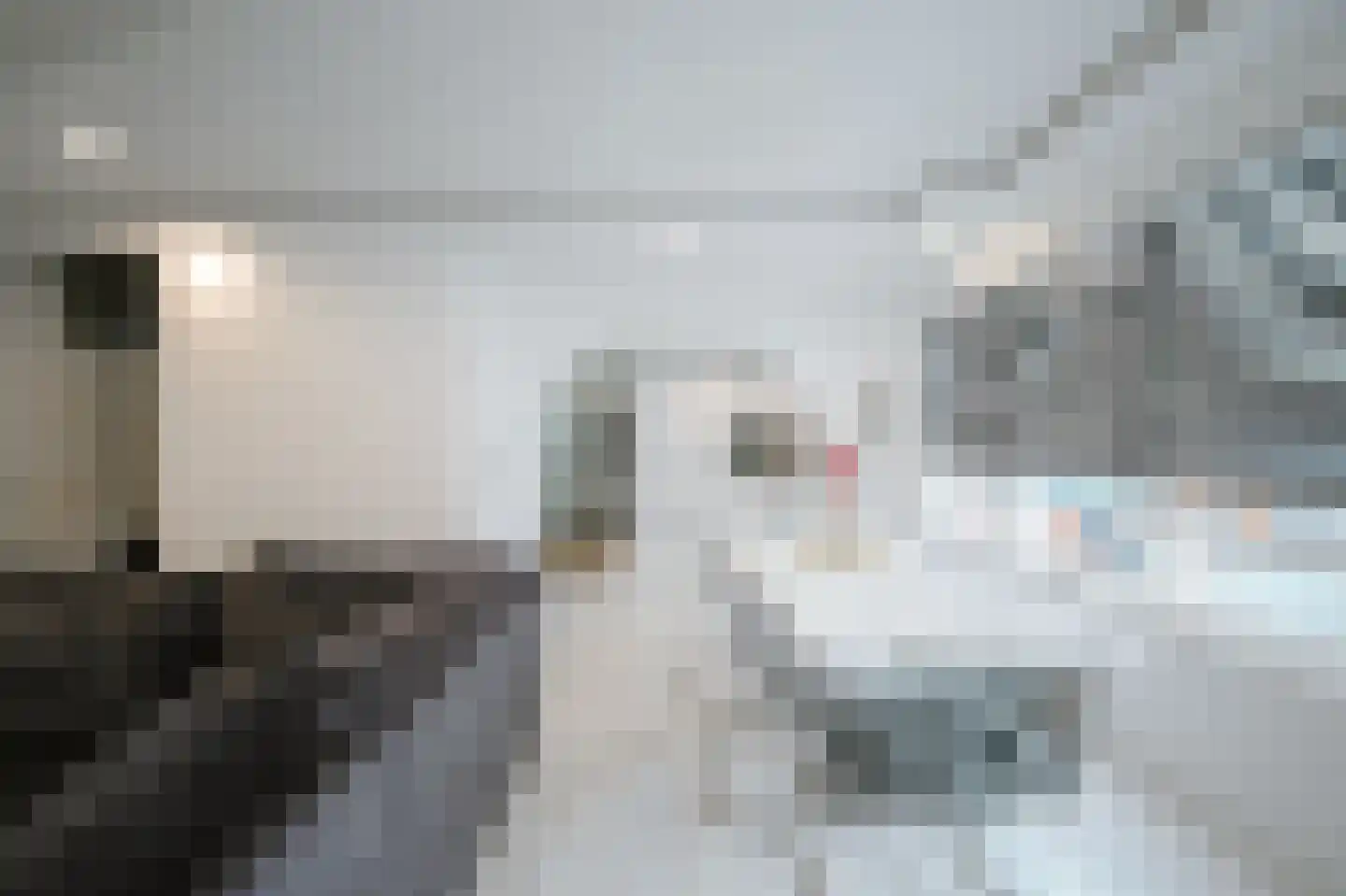 Leerlooierstraat 49 Oss thumbnail 14